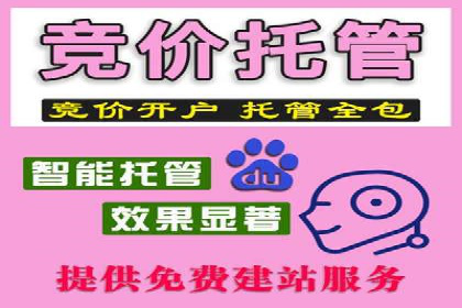某品牌通过百度广告实现快速增长的案例